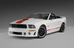 Ford Mustang Speedster by Roush 2008 года